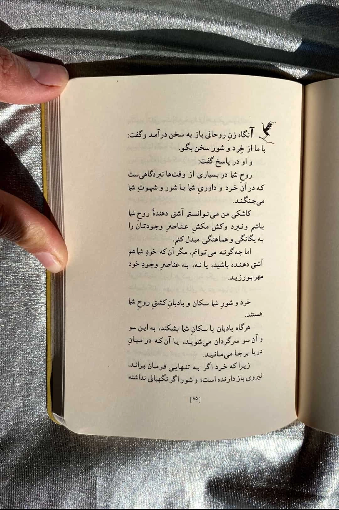 صفحات کتاب