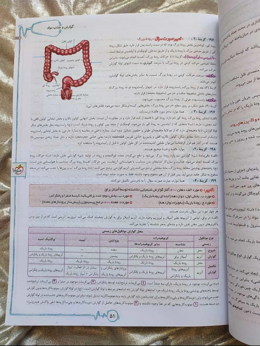 دوره دوجلدی زیست پینوکیو جامع تجربی خیلی سبز - شهرکتاب جابر