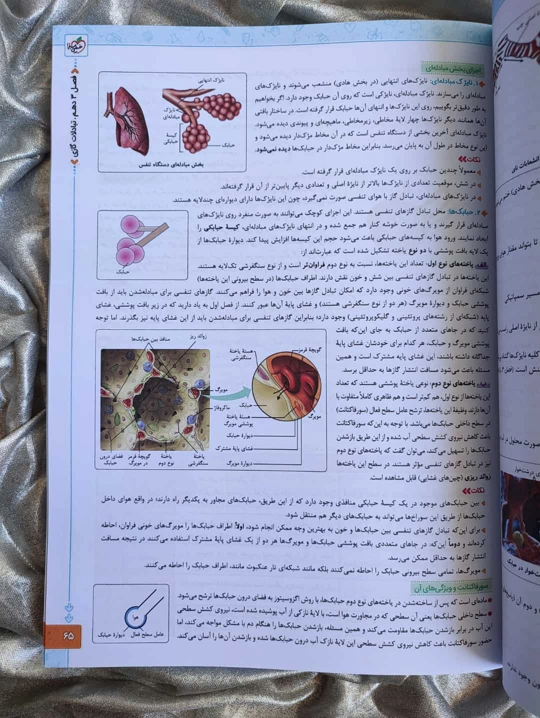 خرید و قیمت زیست شناسی جامع خیلی سبز - شهرکتاب جابر