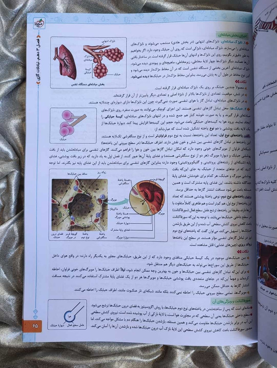 خرید و قیمت زیست شناسی جامع خیلی سبز - شهرکتاب جابر