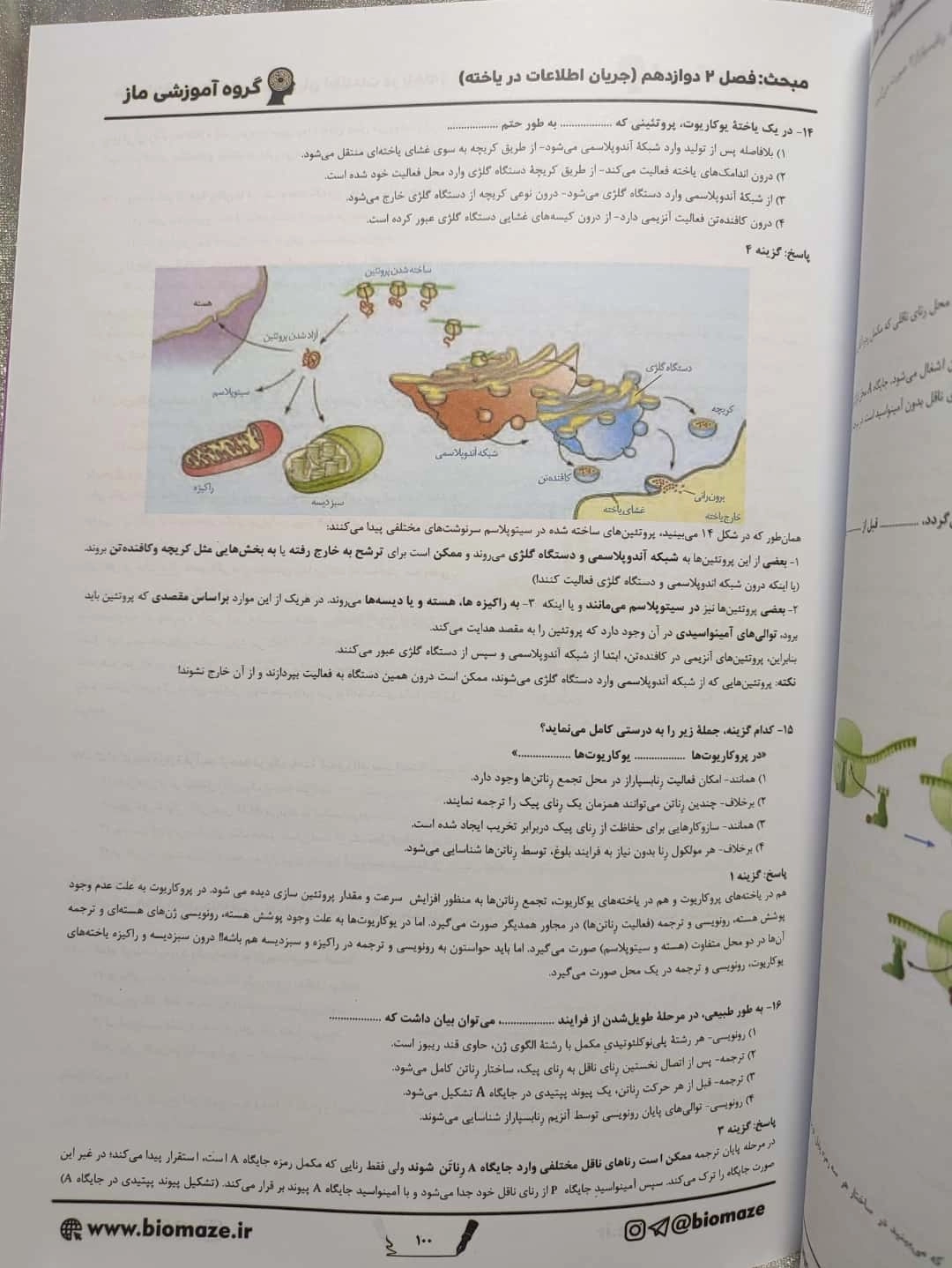 درسنامه کامل آموزش زیست شناسی طلایی ماز | شهر کتاب جابر