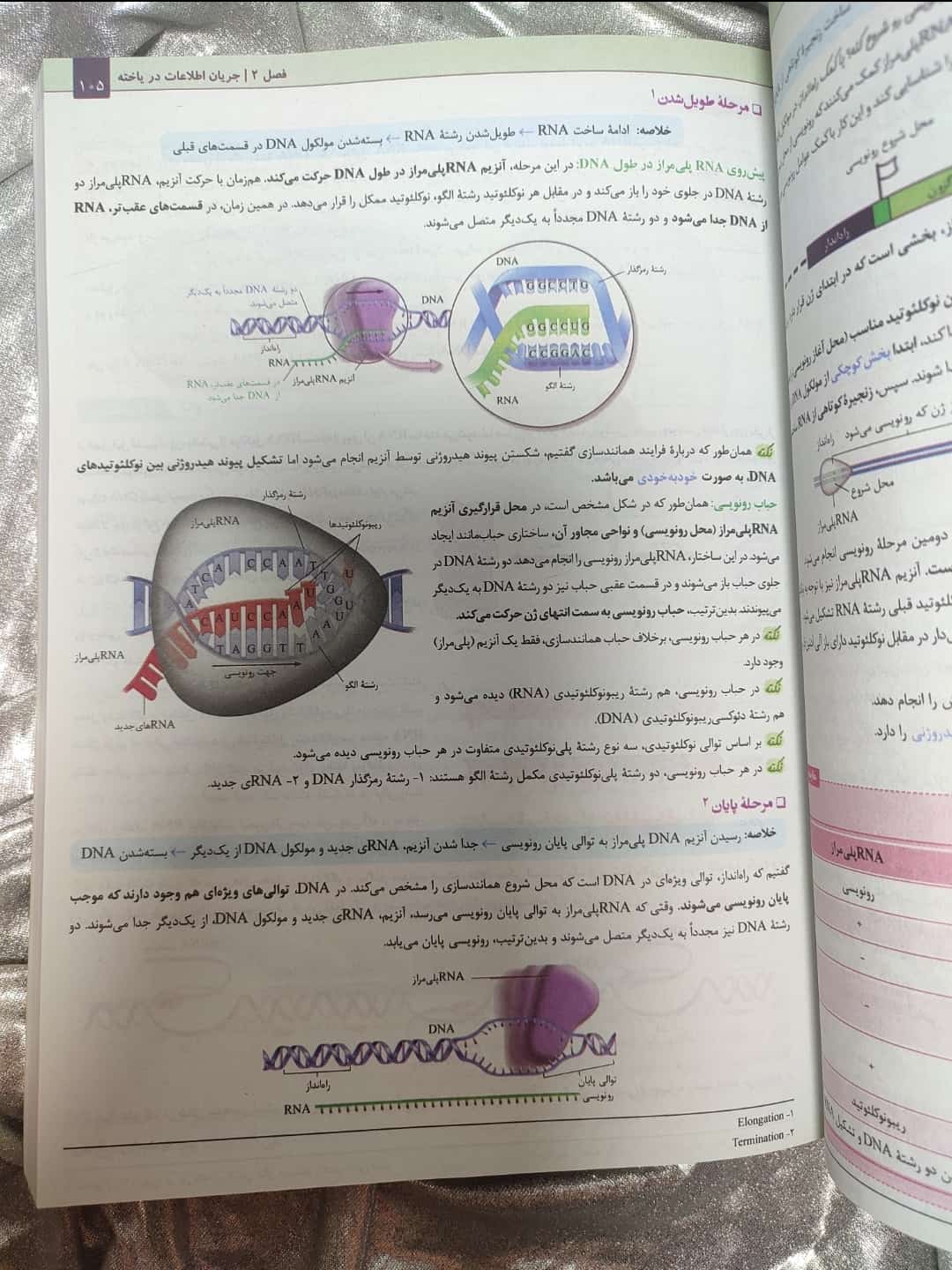 نمونه صفحه درسنامه کتاب زیست گاج | شهر کتاب جابر