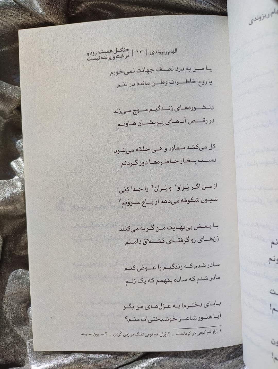 نمونه صفحه کتاب جنگل همیشه رود و درخت و پرنده نیست- شهرکتاب جابر