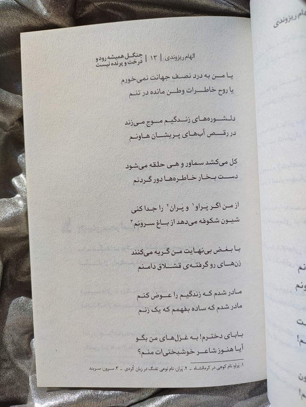 نمونه صفحه کتاب جنگل همیشه رود و درخت و پرنده نیست- شهرکتاب جابر