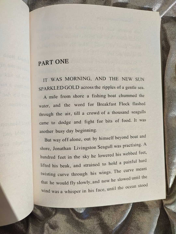 خرید کتاب دو زبانه جاناتان مرغ دریایی نشر آموت - شهرکتاب جابر