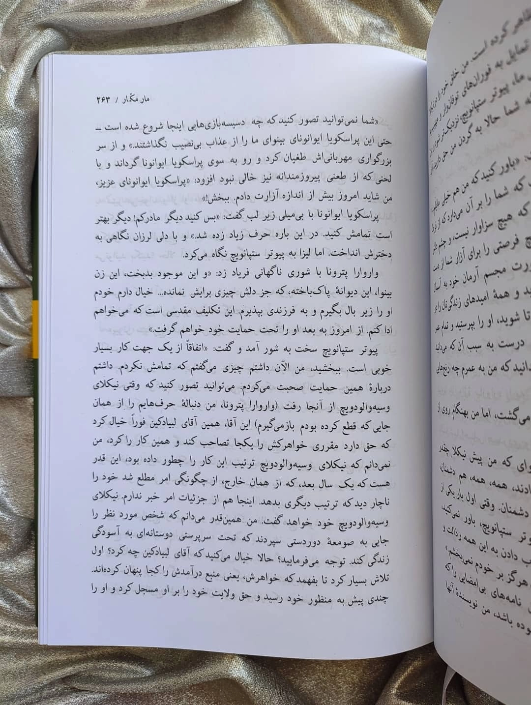 نمایی از نسخه چاپی نشر نیلوفر از کتاب جن‌زدگان_ شهر کتاب جابر