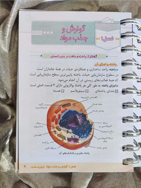 خلاصه تصویری دستگاههای بدن انسان برای جمعبندی زیستشناسی ـ شهرکتاب جابر