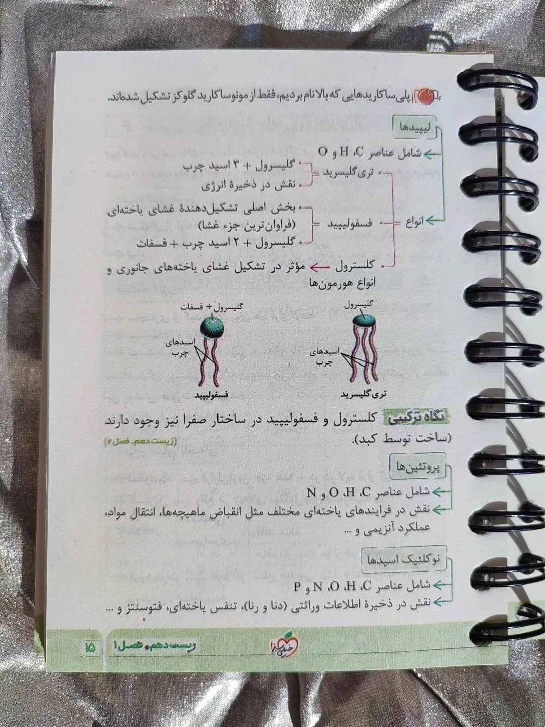 مطالعه و مرور سریع زیست‌شناسی با کتاب جی‌بی زیست جامع نکته باز_شهر کتاب جابر