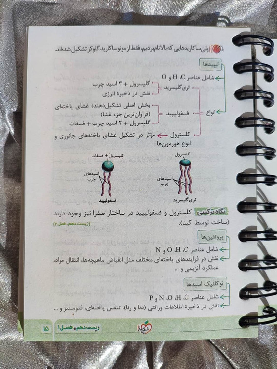 مطالعه و مرور سریع زیستشناسی با کتاب جیبی زیست جامع نکته باز_شهر کتاب جابر