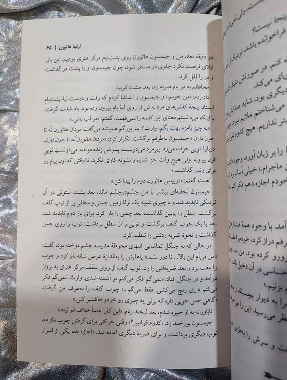 فضای داخل کتاب The Hawthorne Legacy _ شهر کتاب جابر