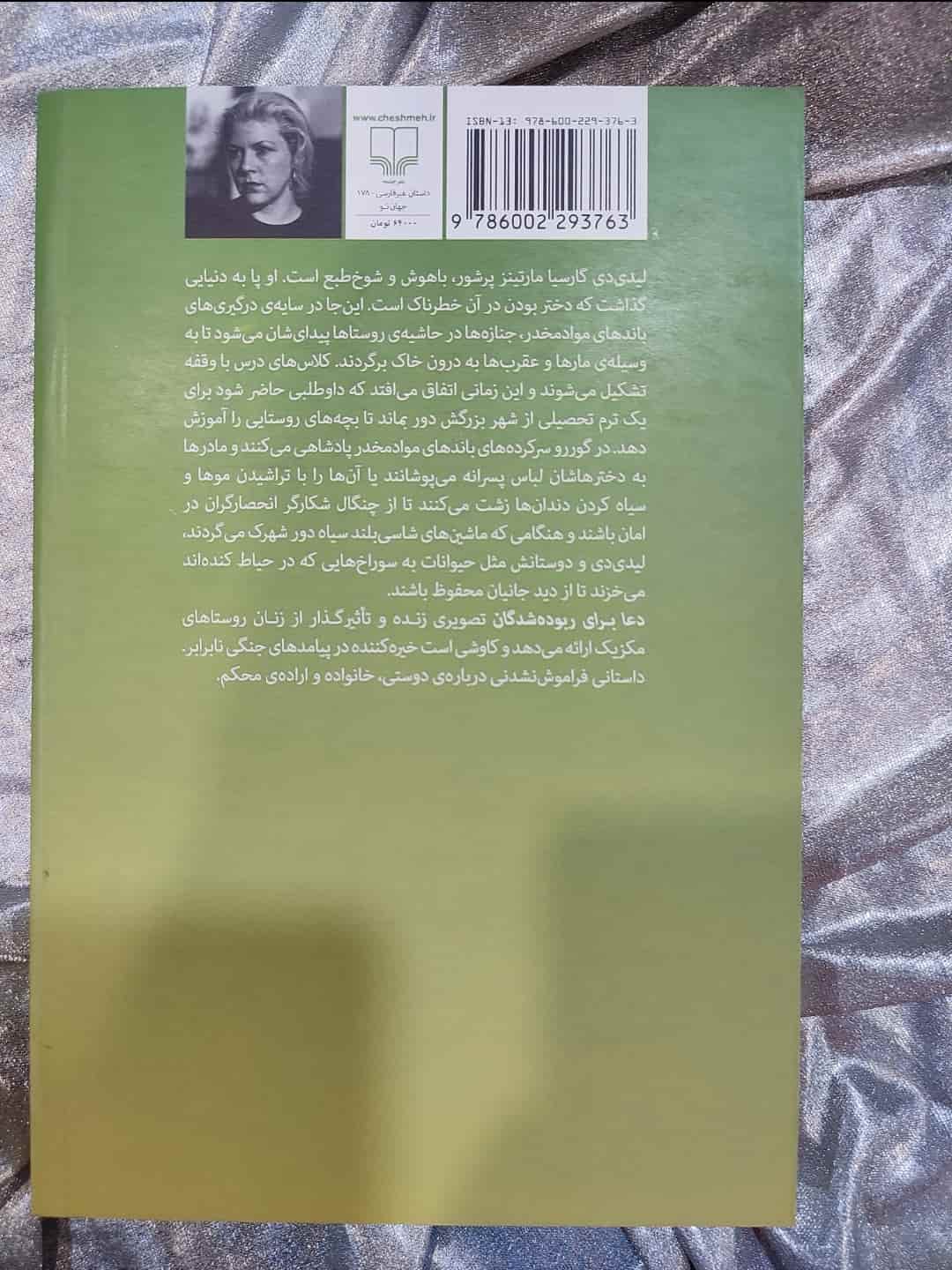 خلاصه ایی از کتاب  Prayers For The Stolen _ شهر کتاب جابر