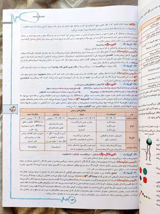 تصویر داخلی کتاب زیست شناسی جامع پینوکیو خیلی سبز _ شهر کتاب جابر