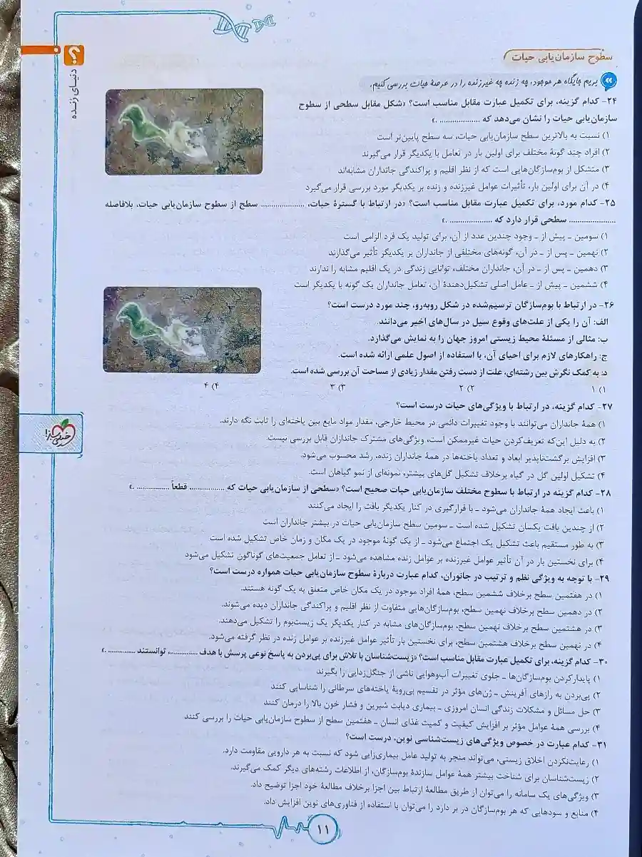 معرفی کتاب زیست شناسی جامع پینوکیو خیلی سبز _ شهر کتاب جابر