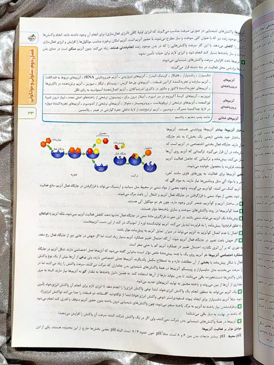 صفحه داخلی کتاب زیست شناسی جامع تجربی خیلی سبز _ شهر کتاب جابر